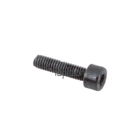GX35 Ignition Coil Nut